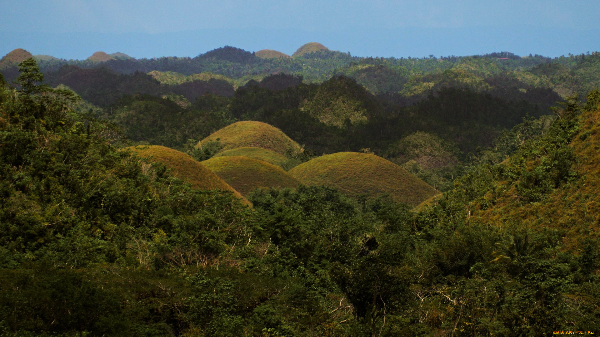 chocolate hills, bohol, philippines, , , chocolate, hills